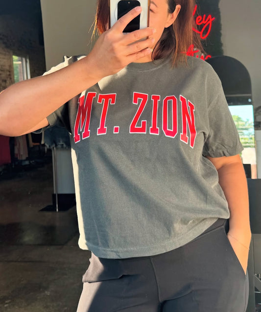 Victory Vibe boxy crop MTZION (in stock)