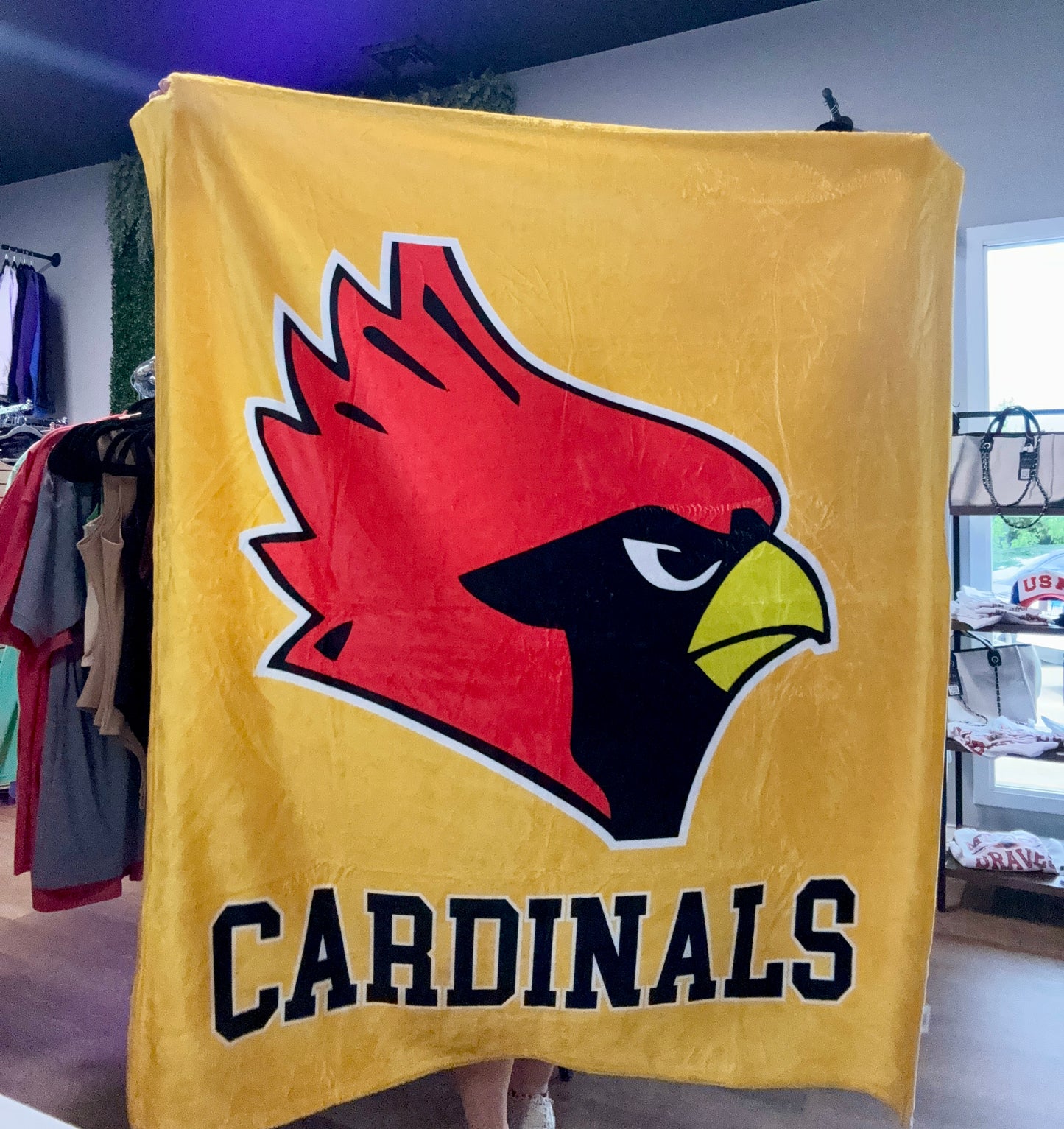 Cardinals Minky Blanket